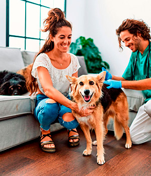 Veterinario a domicilio